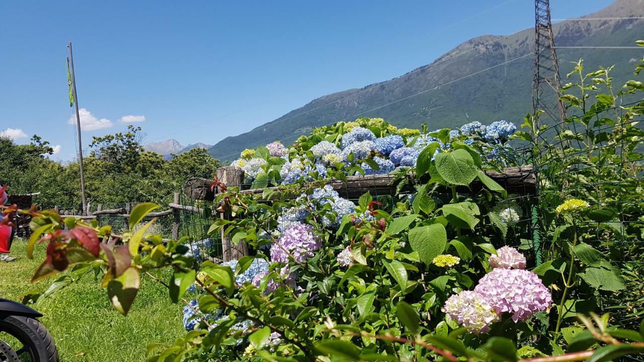 Agriturismo Volpe Golosa Morbegno Buitenkant foto
